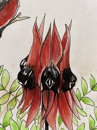 Crimson Chat bird sits on Red Sturt's Desert Pea