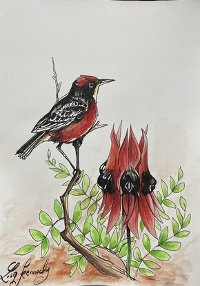 Crimson Chat bird sits on Red Sturt's Desert Pea