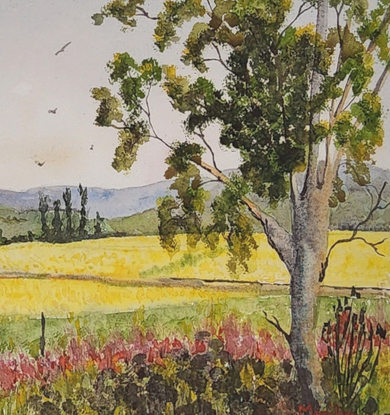 a landscape under light pastel skies with distant ranges are vast field of cheerful yellow canola in the spring season with gumtrees and roadside vegetation in the foreground and some birds flying over the countryside.