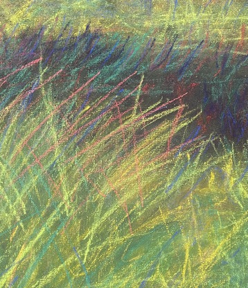 soft pastel afternoon image of a field of grass with trees in background 