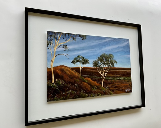 Outback hill with three gumtrees and rugged country scenery 