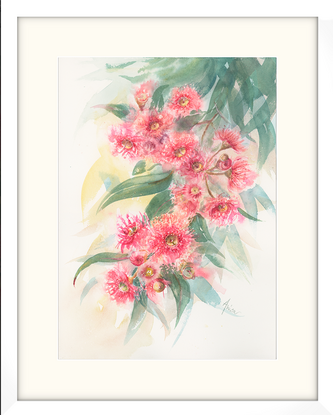 Watercolour painting of a pink red gum blossoms and leaves