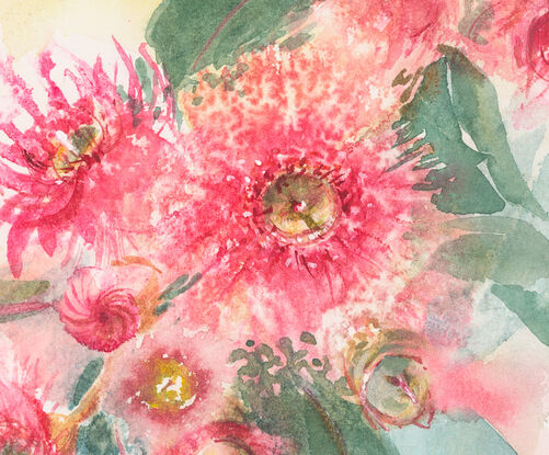 Watercolour painting of a pink red gum blossoms and leaves