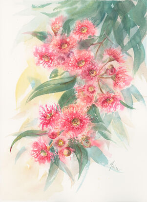 Watercolour painting of a pink red gum blossoms and leaves