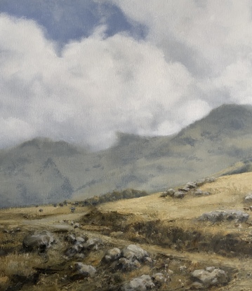 Wheat coloured grassy fields with billowing white fluffy clouds.