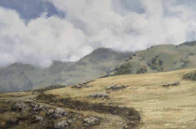 Wheat coloured grassy fields with billowing white fluffy clouds.