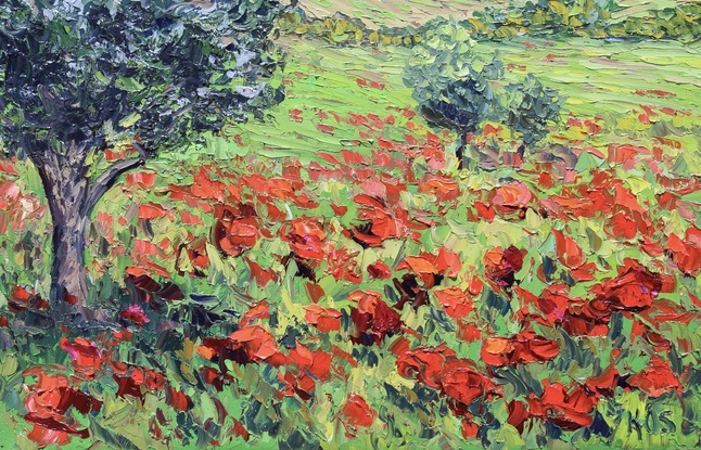 A textured oil painting depicting a field of red poppies and an olive tree in Tuscany.