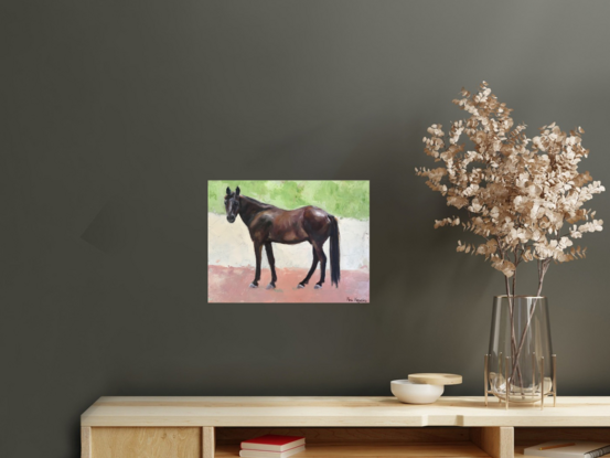 Brown Horse standing and looking directly to the viewer. 