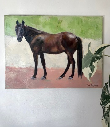 Brown Horse standing and looking directly to the viewer. 