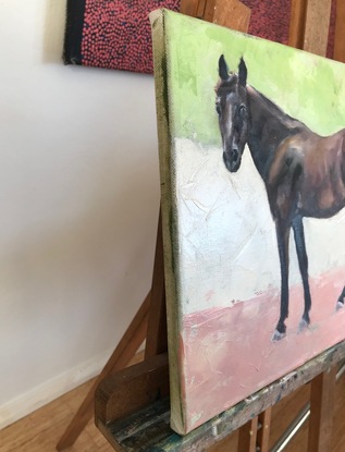 Brown Horse standing and looking directly to the viewer. 