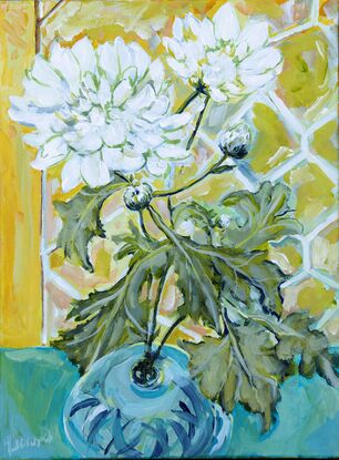 White chrysanthemums in a blue vase bathed in light