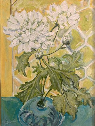 White chrysanthemums in a blue vase bathed in light