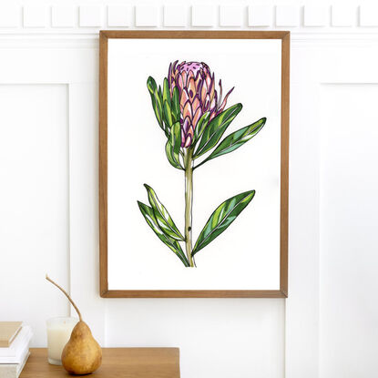 Protea Flower Illustration with abstract bright colouring of greens, pink and orange.