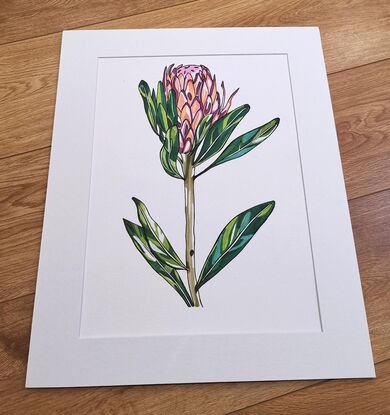 Protea Flower Illustration with abstract bright colouring of greens, pink and orange.