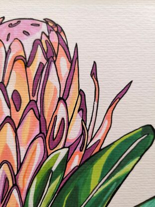 Protea Flower Illustration with abstract bright colouring of greens, pink and orange.