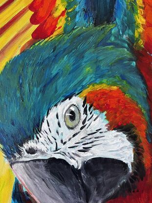 Macaws are such vibrant beautiful big birds! I wanted to create the illusion of thus bird emerging from the jungle
This artwork was exhibitioned for the Killabakh Country Fair 2023