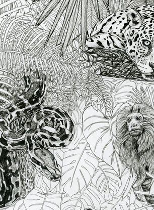 Black and White illustration of a jungle landscape with animals 