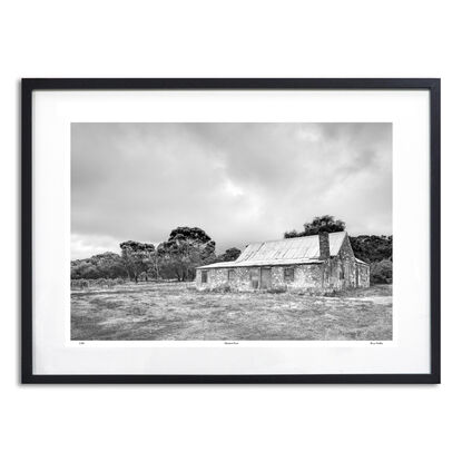 abandoned pioneers hut in rural farm setting