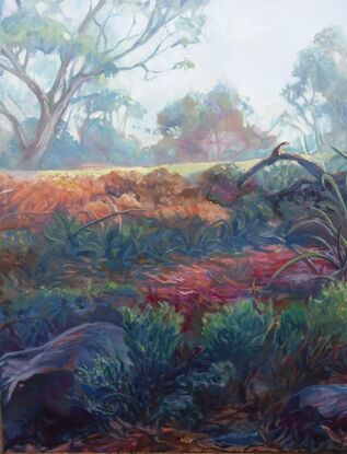 Eucalypt painting, oil painting on stretched canvas, by Heidi Monsant. 