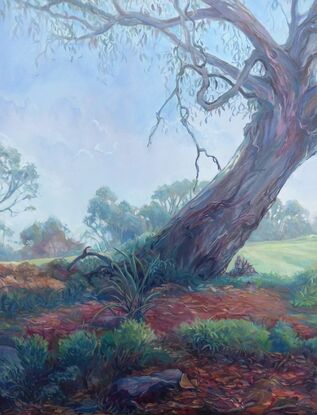 Eucalypt painting, oil painting on stretched canvas, by Heidi Monsant. 