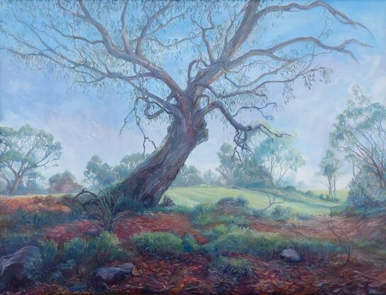 Eucalypt painting, oil painting on stretched canvas, by Heidi Monsant. 