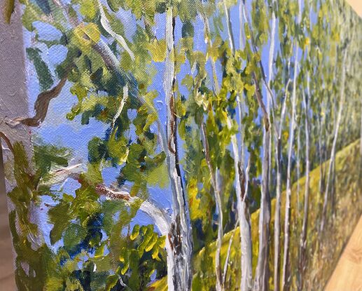 An impressionist landscape of a group of ghost gums against the yellowy wheaten grass and the Australian blue sky. The gums stand in a row so tall and proud with their hints of sienna brown and grey and white on their tall trunks soaring into the sky. A snapshot of the Australian bush in all its natural beauty and summer colours. 