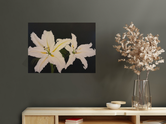 Two vivid white oriental lillies are shown on a plain black background.  Each Lily shows the distinctive yellow strips down the tongue, dots of brown on the petals and the prominent furry stamens.