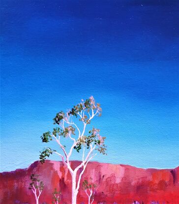 Australian landscape in blues and reds with white ghost gums in the foreground