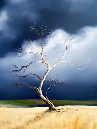 Australian landscape in blues and beige with a stormy sky and old gnarled tree