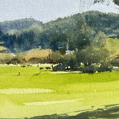 A big tree in a paddock with hills and trees on the skyline and middle ground with a few scattered cows.