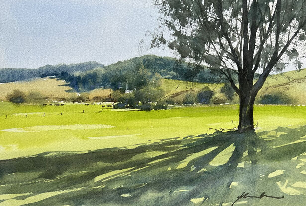 A big tree in a paddock with hills and trees on the skyline and middle ground with a few scattered cows.