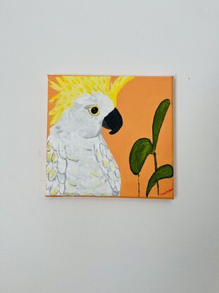 Bird art, Australian native art, cockatoo