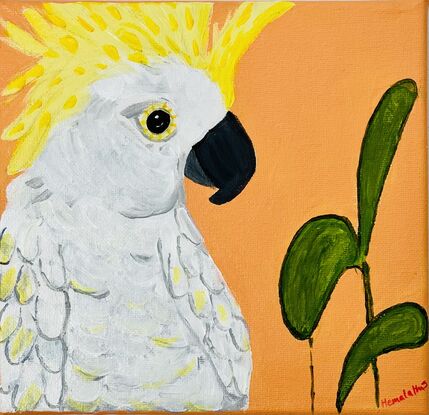 Bird art, Australian native art, cockatoo