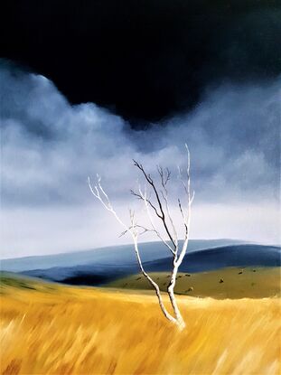 Australian landscape in blues and gold with a stormy sky and old gnarled tree, Victoria's High Country