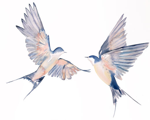 Flying swallow birds