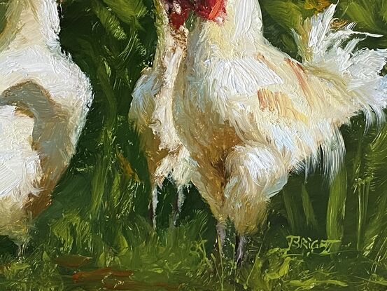 Chickens, white, red, green, 