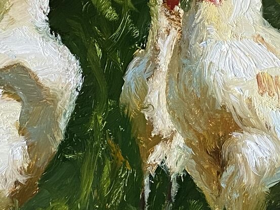 Chickens, white, red, green, 