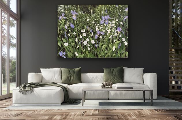 A field of Iris and Windflowers tangled together in a sea of leaves.