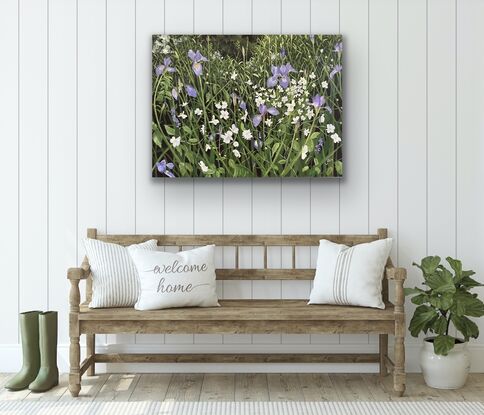 A field of Iris and Windflowers tangled together in a sea of leaves.