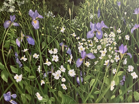 A field of Iris and Windflowers tangled together in a sea of leaves.