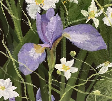 A field of Iris and Windflowers tangled together in a sea of leaves.