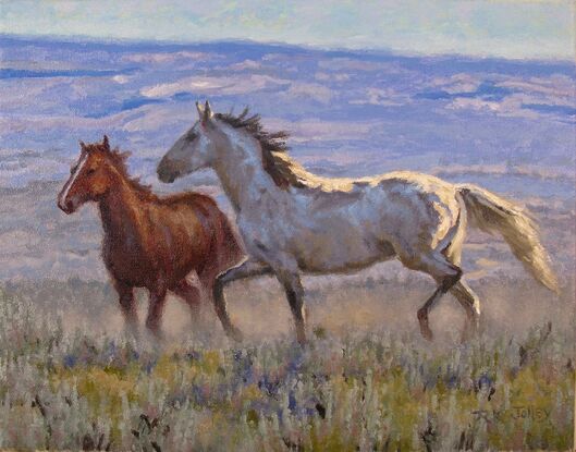 Two wild horses.