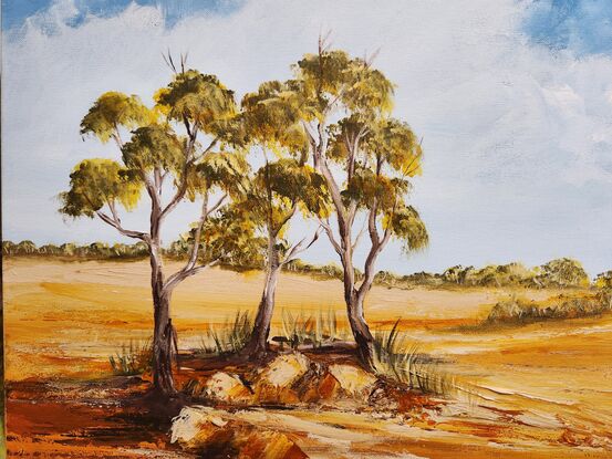 This painting captures the raw beauty of the Outback—the play of light on red earth, the sparse vegetation, and the sense of solitude. I love the vastness of the Outback, the sweeping, remote, arid land where many make a home and a living.

As you gaze at this painting, imagine the heat shimmering above the red soil, the scent of eucalyptus leaves, and the distant call of a bird. The Outback isn’t just a place; it’s an experience—an immersion in the elemental forces of nature.

Remember, art allows us to see the world through different eyes. Whether you’ve stood on the red earth yourself or dreamt of doing so, this painting invites you to connect with the essence of the Australian Outback. 🌅🎨