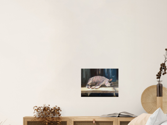 white cat sleeping on a sunny day outside on a wood shelve 