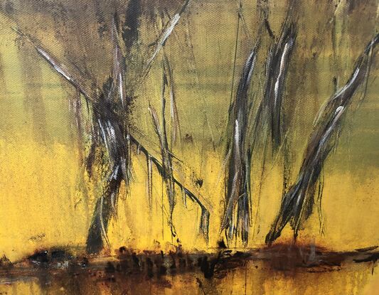 Golden Country, Outback Australia, Burnt Out Trees, Stillness of the Land, Hot Steaming Land, 