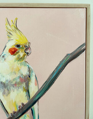 Yellow cockatiel portrait seated on a thin branch, with a retro peach background. Framed and ready to hang.