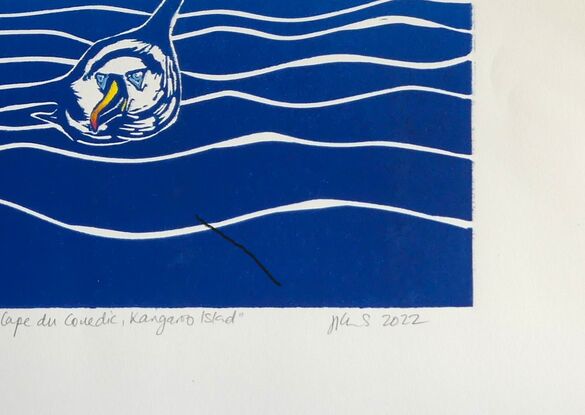 The linoprint is a graphic graduated tonal representation of an Albatross soaring across the Southern Ocean.