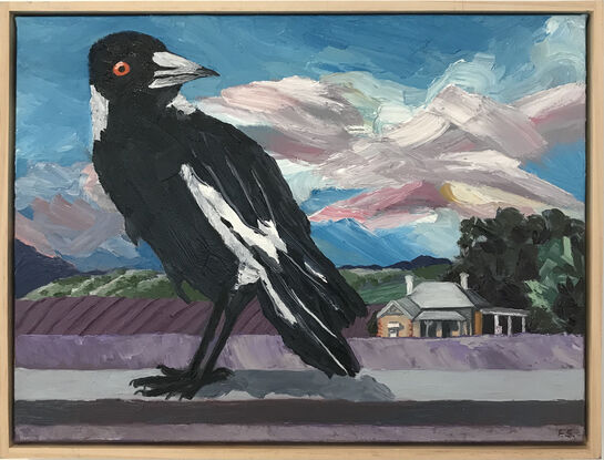 Large magpie standing on a vineyard front fence with a heritage home in the background. 