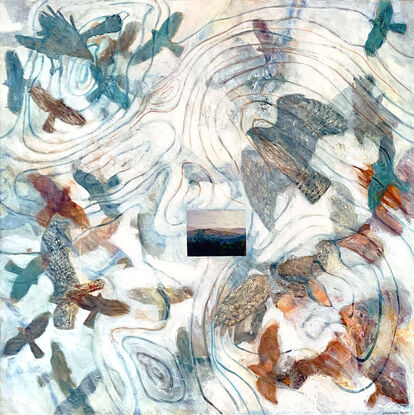 Birds in flight in a light abstract scene with topographic map elements.