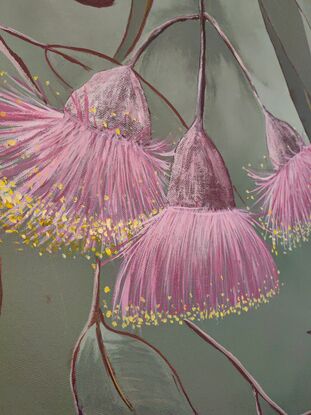 Australia native Pink Gum flower Acrylic painting on canvas